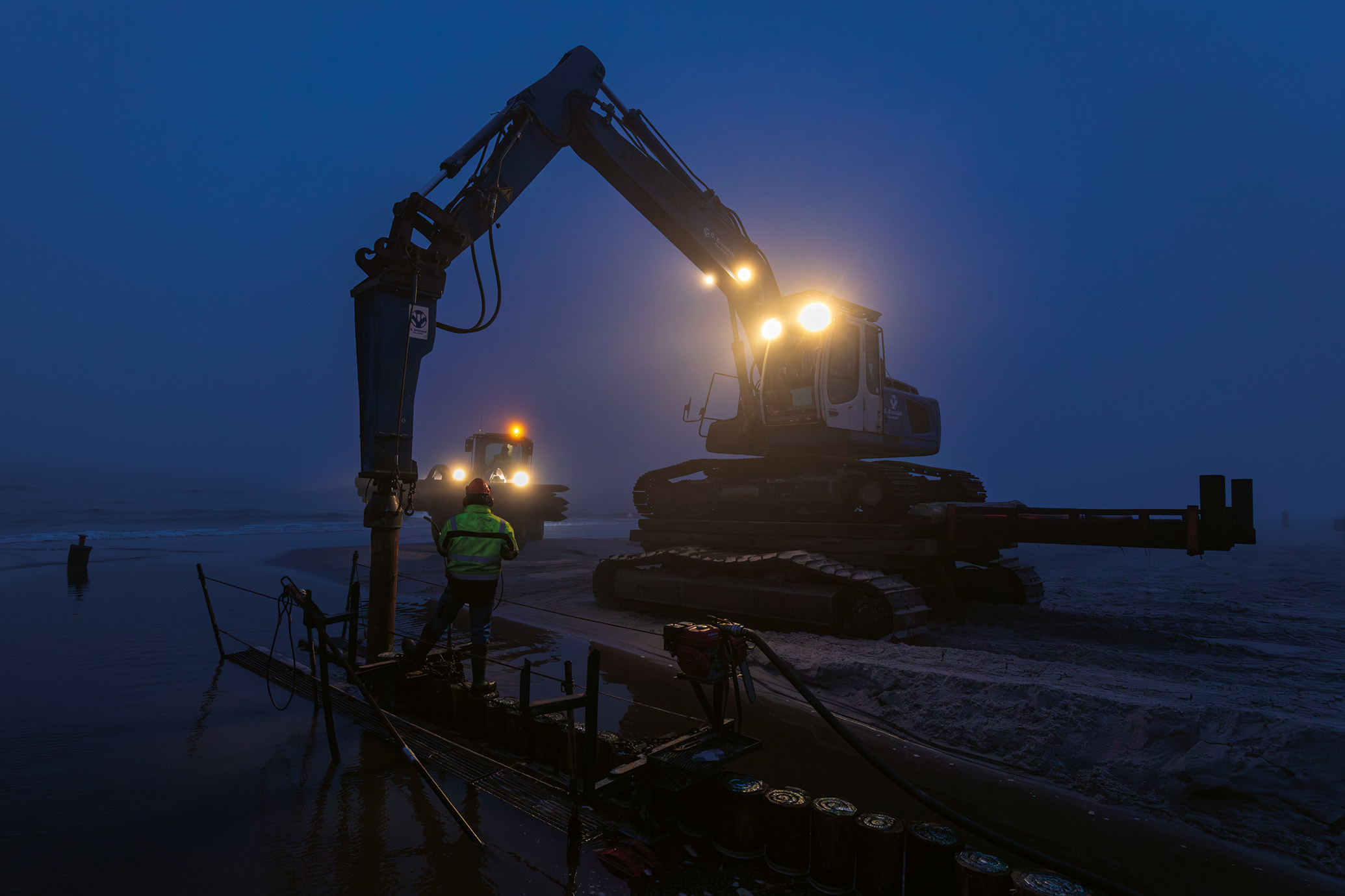 Baumstämme für den Küstenschutz